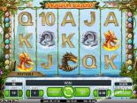 jocuri aparate Dragon Island NetEnt